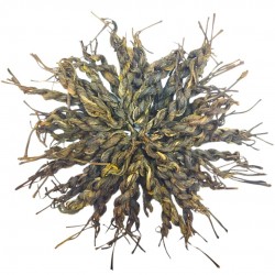 Шен пуер в косичках Шен пуер в косичках